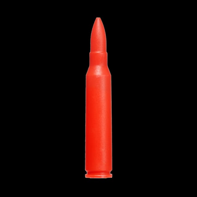 223 Practice Dummy Rounds (Pack Of 10)